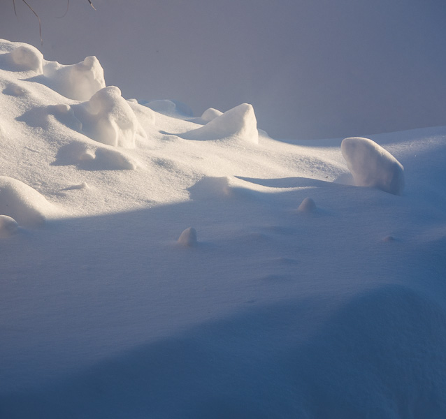 24/366:  Snowzilla: a Different View
